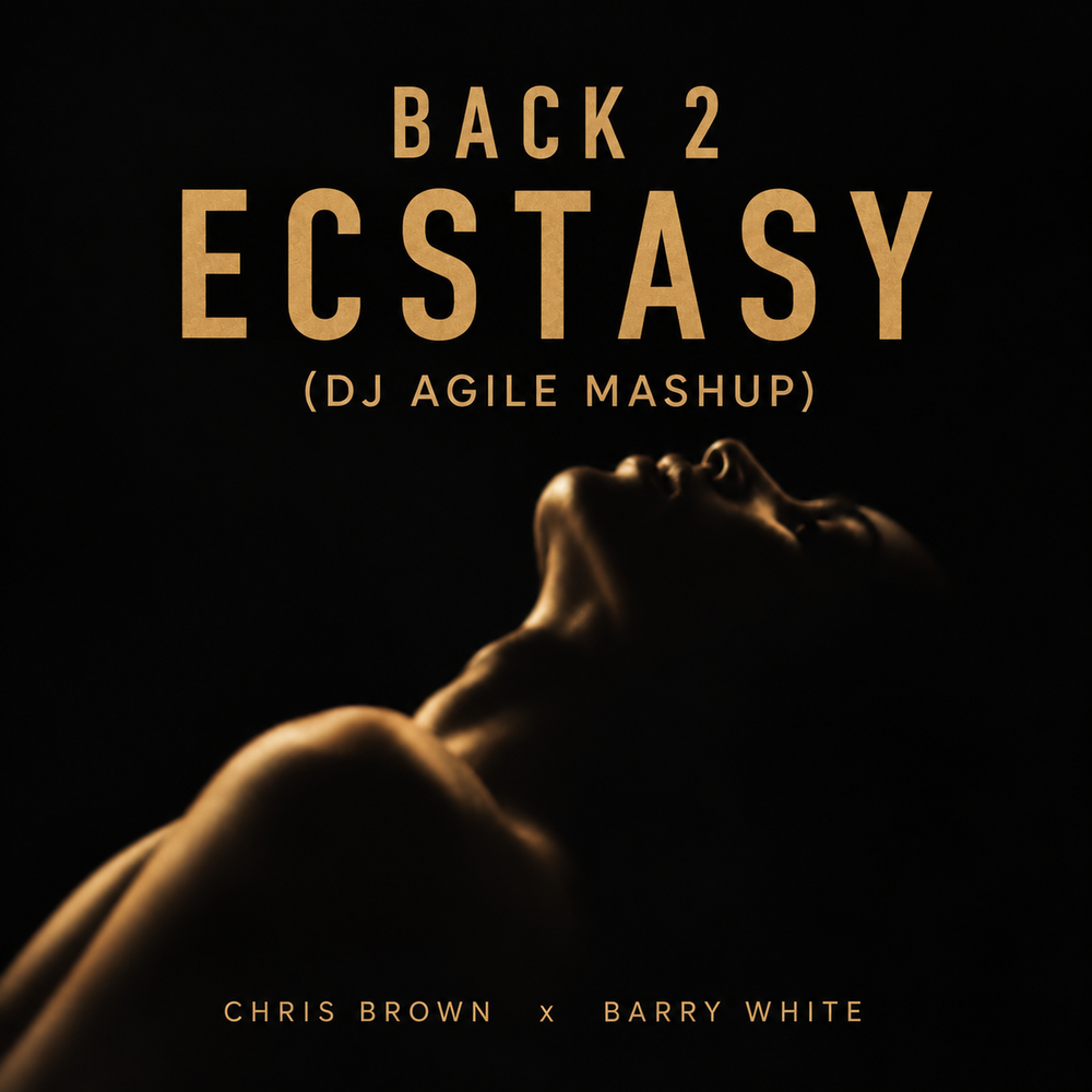 Back 2 Ecstasy (DJ Agile Mashup)